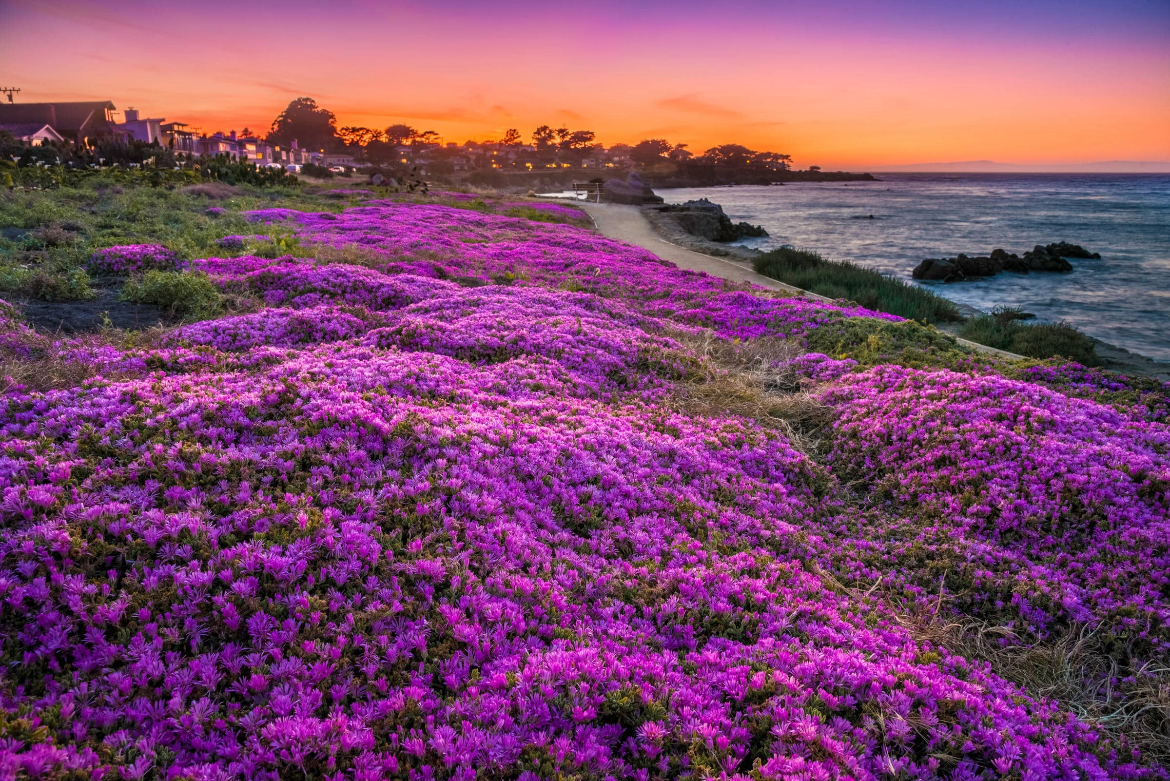 Pacific Grove Pacific Grove